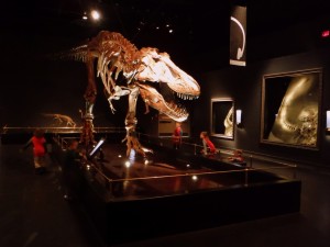 Museums & Galleries