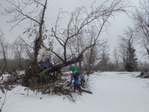 DSCF1778-001
