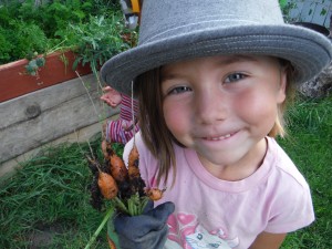 carrots