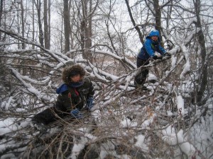 The Great Outdoors