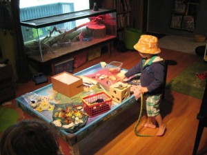 Seaside Show N' Tell